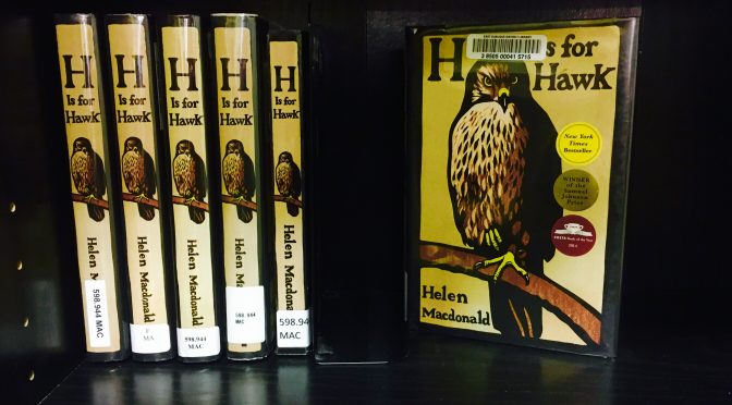 photo of His for Hawk books by Helen Macdonald