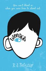 Image of the front cover of "Wonder", by R.J. Palacio which depicts a simply drawn boy's face lacking all features except ears, hair, and one eye. The word "Wonder" is in the place of an eyebrow